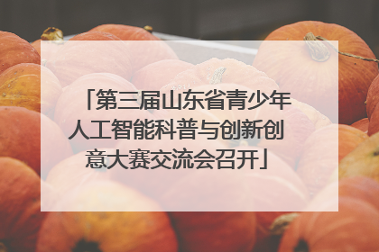 第三届山东省青少年人工智能科普与创新创意大赛交流会召开