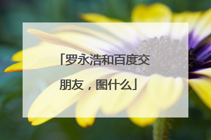 罗永浩和百度交朋友，图什么