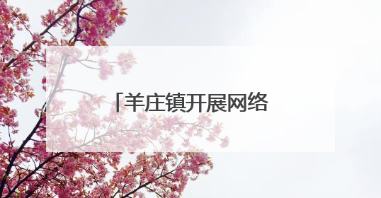 羊庄镇开展网络文明周系列活动