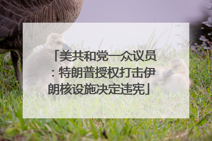 美共和党一众议员：特朗普授权打击伊朗核设施决定违宪