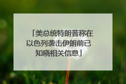美总统特朗普称在以色列袭击伊朗前已知晓相关信息