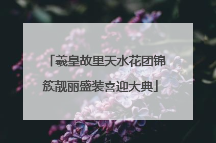 羲皇故里天水花团锦簇靓丽盛装喜迎大典