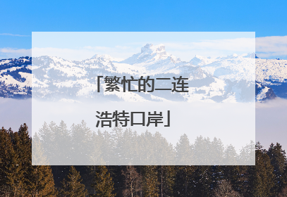 繁忙的二连浩特口岸