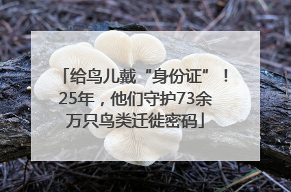 给鸟儿戴“身份证”！25年，他们守护73余万只鸟类迁徙密码