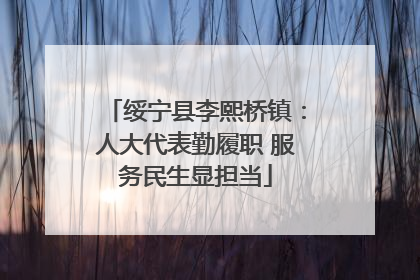 绥宁县李熙桥镇：人大代表勤履职 服务民生显担当