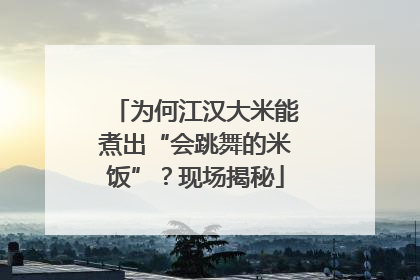 为何江汉大米能煮出“会跳舞的米饭”？现场揭秘