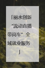 丽水创新“流动直播带岗车”全域就业服务