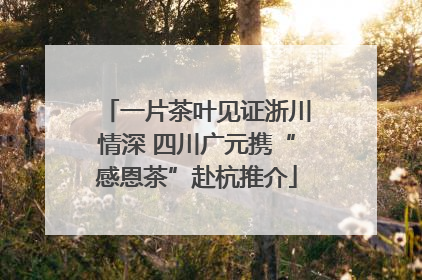 一片茶叶见证浙川情深 四川广元携“感恩茶”赴杭推介