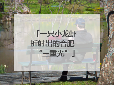 一只小龙虾折射出的合肥“三重光”