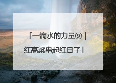一滴水的力量⑨｜红高粱串起红日子