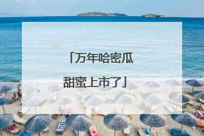 万年哈密瓜甜蜜上市了
