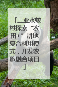 三亚水蛟村探索“农田+”耕地复合利用模式，开发农旅融合项目