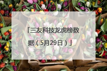 三友科技龙虎榜数据（5月29日）