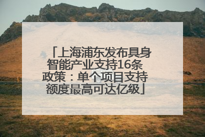 上海浦东发布具身智能产业支持16条政策：单个项目支持额度最高可达亿级