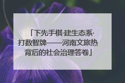 下先手棋·建生态系·打数智牌——河南文旅热背后的社会治理答卷