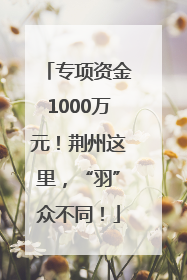 专项资金1000万元！荆州这里，“羽”众不同！