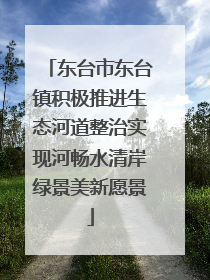 东台市东台镇积极推进生态河道整治实现河畅水清岸绿景美新愿景