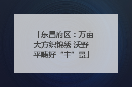 东昌府区：万亩大方织锦绣 沃野平畴好“丰”景
