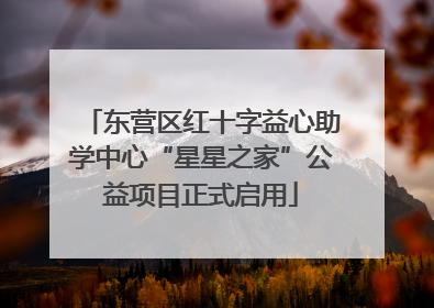 东营区红十字益心助学中心“星星之家”公益项目正式启用