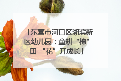 东营市河口区湖滨新区幼儿园：童耕“棉”田 “花”开成长