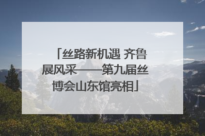 丝路新机遇 齐鲁展风采——第九届丝博会山东馆亮相