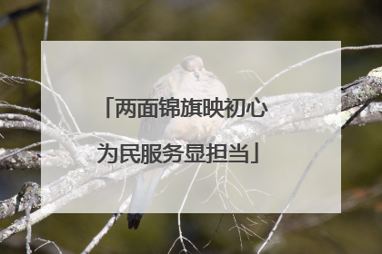 两面锦旗映初心 为民服务显担当