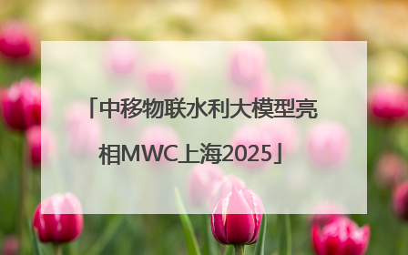 中移物联水利大模型亮相MWC上海2025