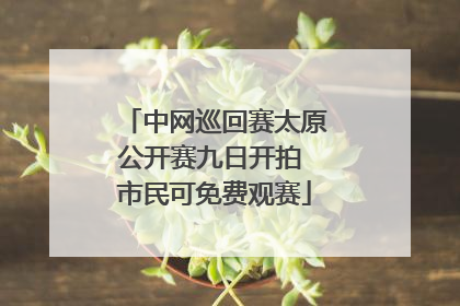 中网巡回赛太原公开赛九日开拍 市民可免费观赛