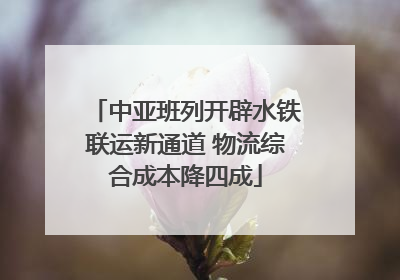 中亚班列开辟水铁联运新通道 物流综合成本降四成