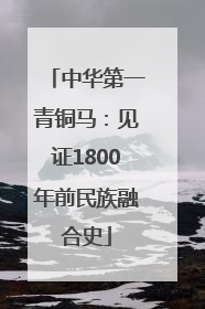 中华第一青铜马：见证1800年前民族融合史