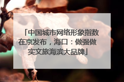 中国城市网络形象指数在京发布，海口：做强做实文旅海滨大品牌