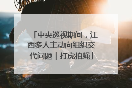 中央巡视期间，江西多人主动向组织交代问题｜打虎拍蝇