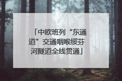 中欧班列“东通道”交通咽喉绥芬河隧道全线贯通