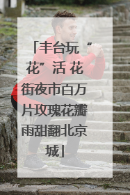 丰台玩“花”活 花街夜市百万片玫瑰花瓣雨甜翻北京城