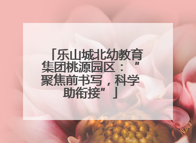 乐山城北幼教育集团桃源园区：“聚焦前书写，科学助衔接”
