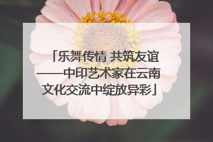 乐舞传情 共筑友谊——中印艺术家在云南文化交流中绽放异彩