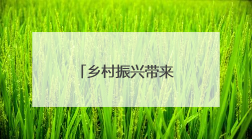 乡村振兴带来发展新活力