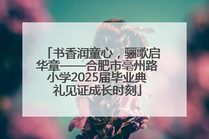 书香润童心，骊歌启华章——合肥市亳州路小学2025届毕业典礼见证成长时刻