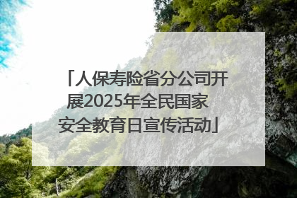 人保寿险省分公司开展2025年全民国家安全教育日宣传活动