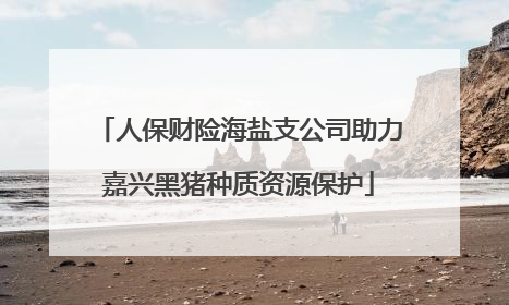 人保财险海盐支公司助力嘉兴黑猪种质资源保护