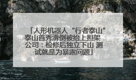 人形机器人“行者泰山”泰山首秀滑倒被抬上担架 公司：检修后独立下山 测试就是为暴露问题