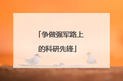争做强军路上的科研先锋