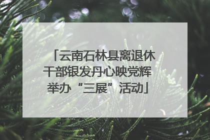 云南石林县离退休干部银发丹心映党辉举办“三展”活动