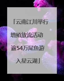 云南江川举行增殖放流活动 逾54万尾鱼游入星云湖