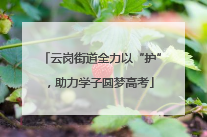 云岗街道全力以“护”，助力学子圆梦高考