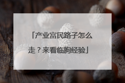 产业富民路子怎么走？来看临朐经验