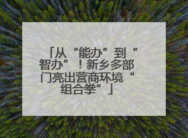 从“能办”到“智办”！新乡多部门亮出营商环境“组合拳”