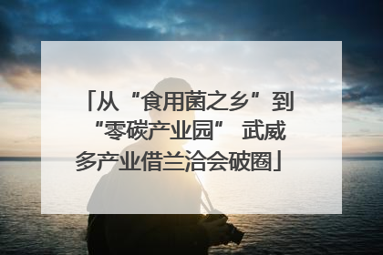 从“食用菌之乡”到“零碳产业园” 武威多产业借兰洽会破圈