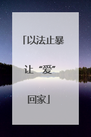 以法止暴 让“爱”回家