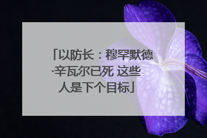 以防长：穆罕默德·辛瓦尔已死 这些人是下个目标